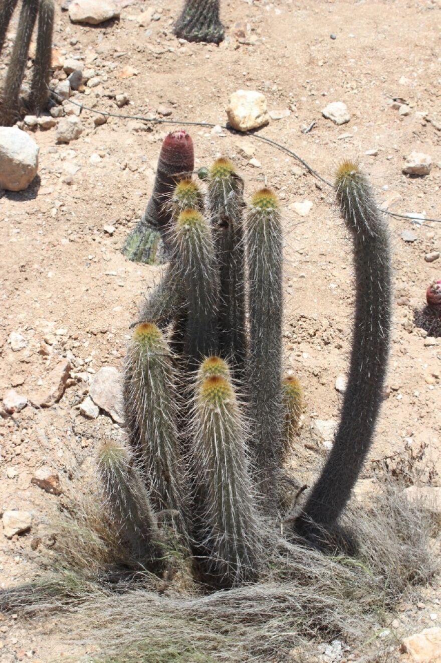 I Photographed Tucume, Valley Of The Pyramids (40 Pics)