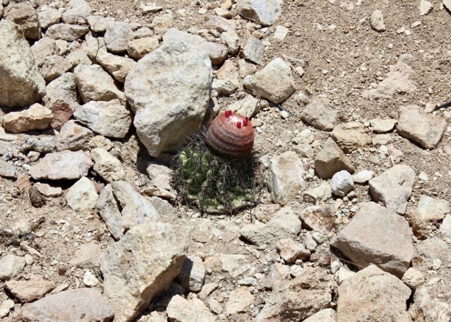 I Photographed Tucume, Valley Of The Pyramids (40 Pics)