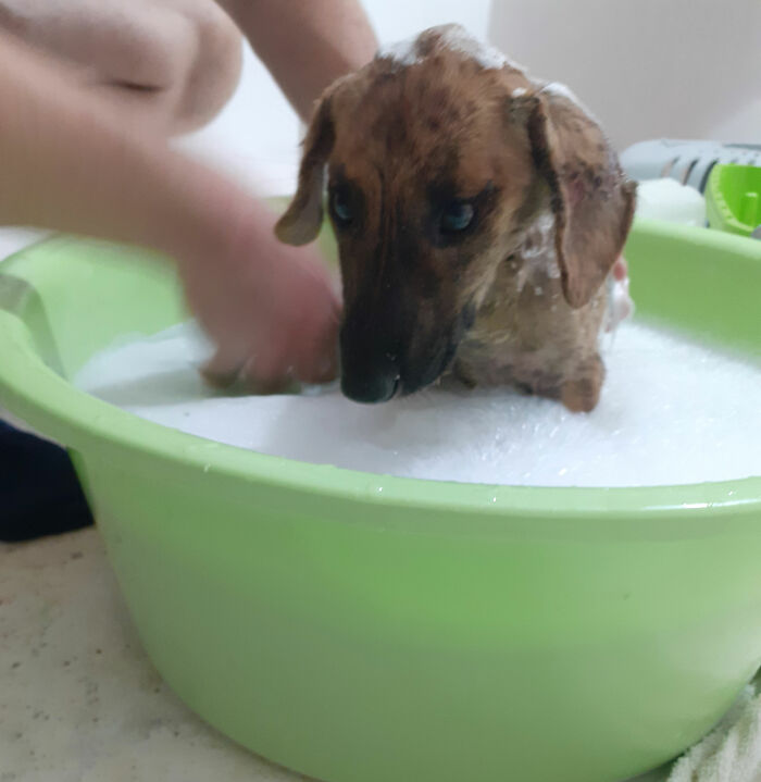 We Are Running Romania's Largest Cat Shelter With 300+ Cats Who Are In Need Of Help Everyday