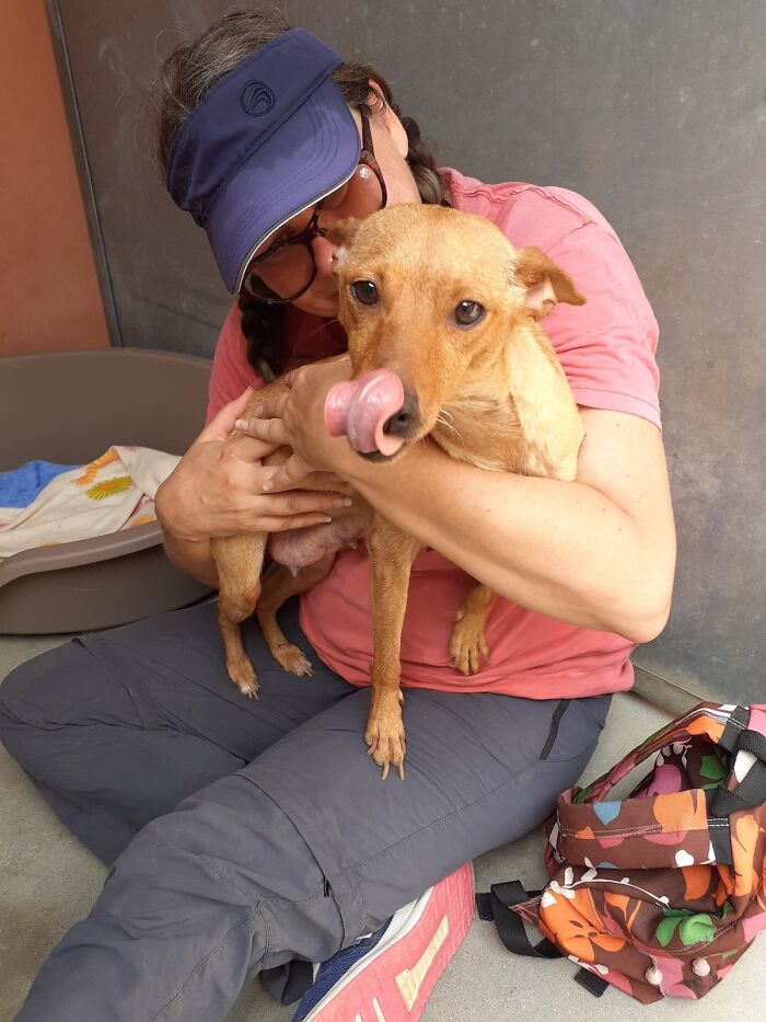 We See Dogs Develop And Grow At The Adana Dog Rescue Center, Here's The Story Of Some Of Our New Arrivals (11 Pics)