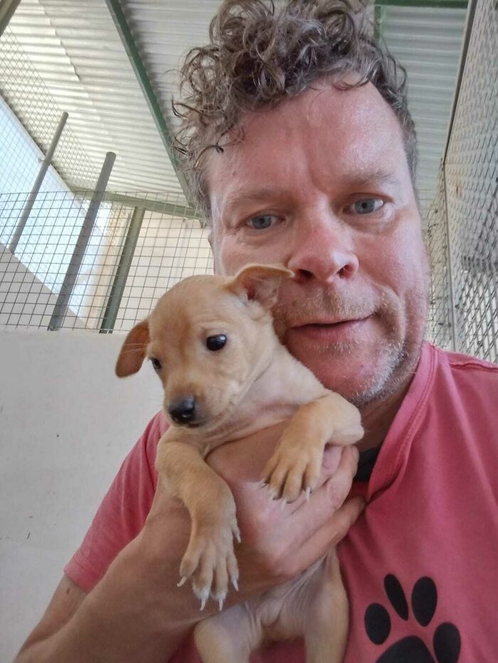 We See Dogs Develop And Grow At The Adana Dog Rescue Center, Here's The Story Of Some Of Our New Arrivals (11 Pics)