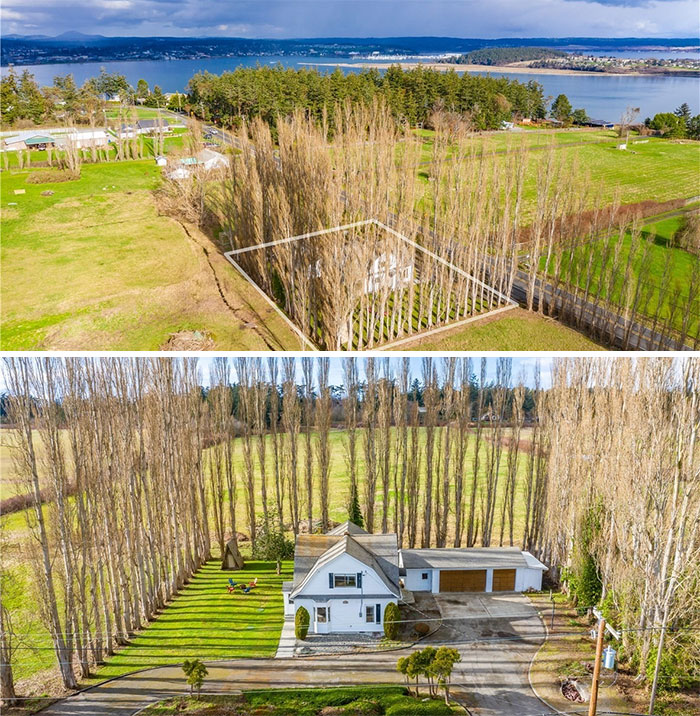 Nice House But What's With The Tree Forcefield?