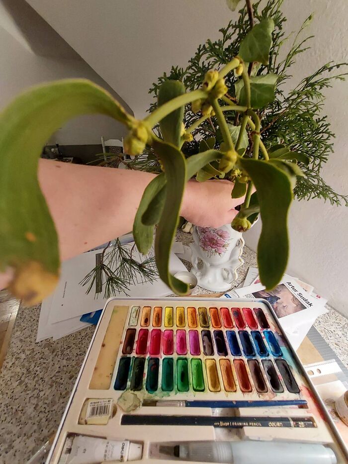 I Want To Introduce Another Artist From Ukraine, Galina Shevtsova I Want To Introduce Another Artist From Ukraine, Galina Shevtsova