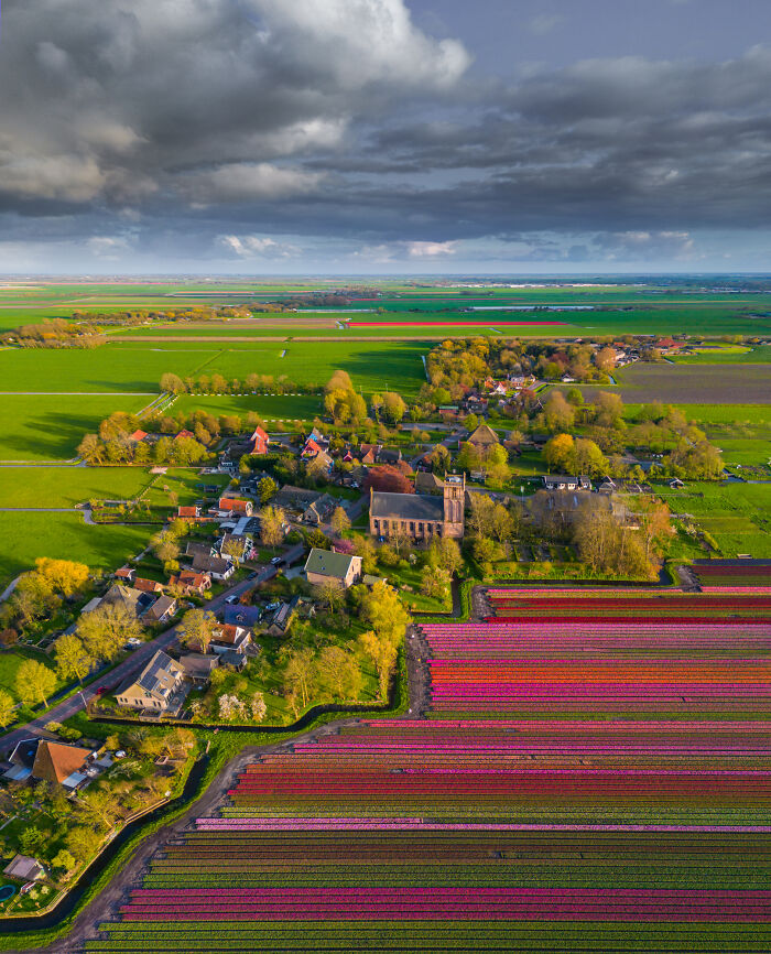 Spectacular Photos From This Year's Tulip Season In The Netherlands