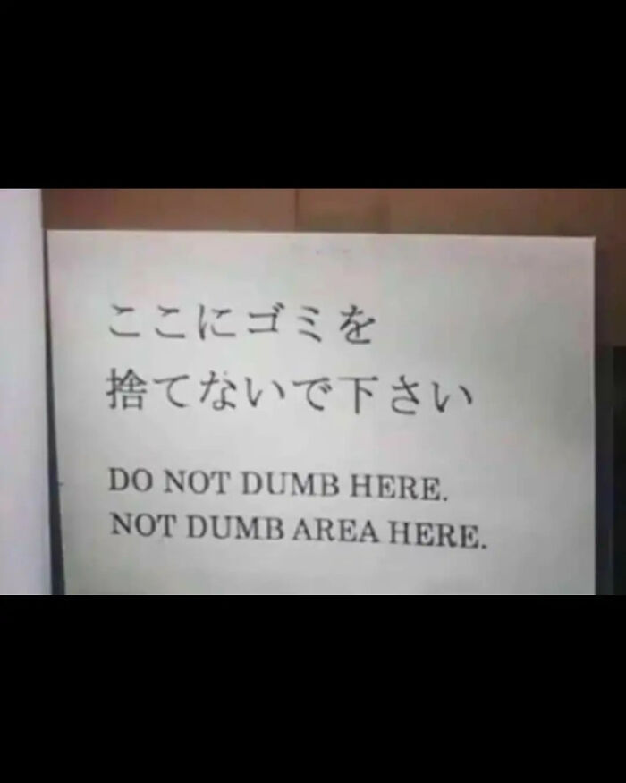 No Dumb Allowed