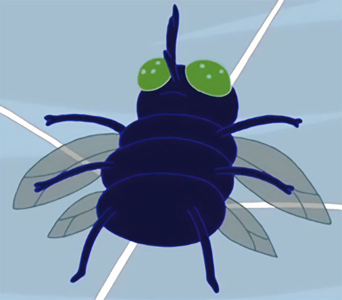 Animated close-up of a fly in the sky, illustrating wacky and profound Adventure Time quotes visual style.
