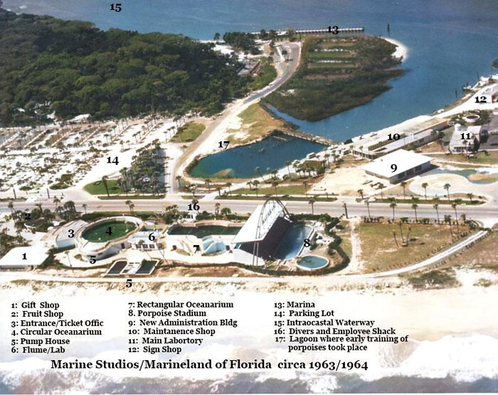 I Gathered Photos Showcasing Historic Marine Studios, Marineland Of Florida I Gathered Photos Showcasing Historic Marine Studios, Marineland Of Florida