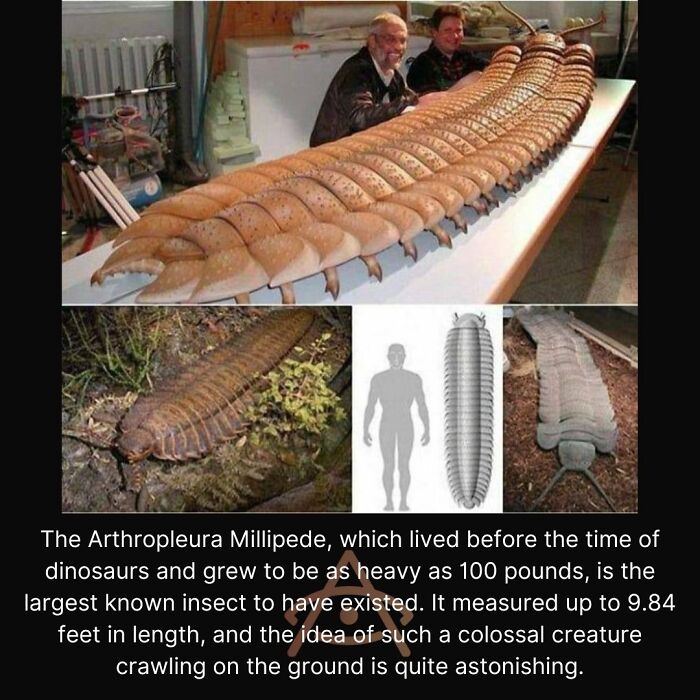 Ancient-Explorers-Historical-Archaeology-Pics