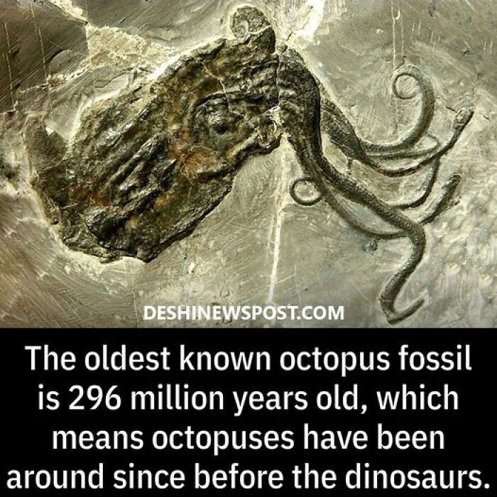 Ancient-Explorers-Historical-Archaeology-Pics