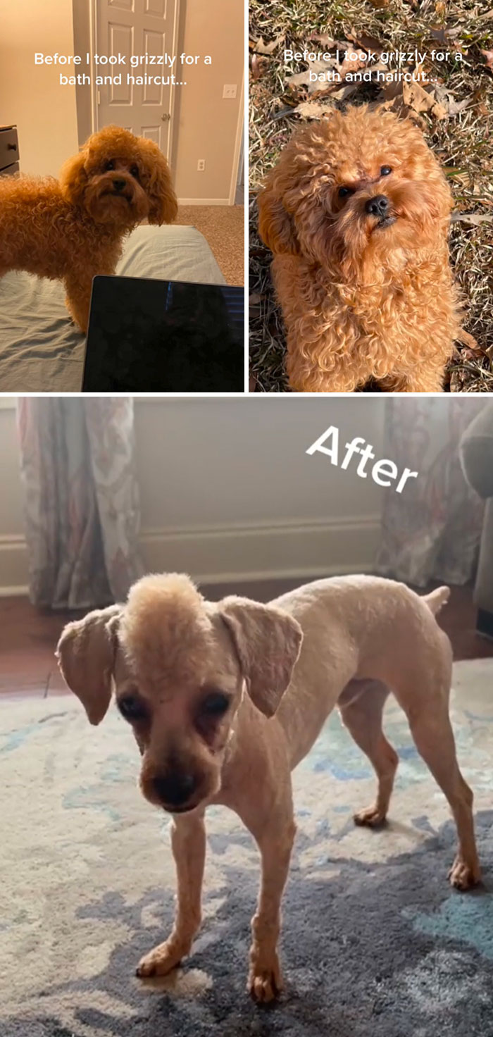 The Mohawk Is Doable