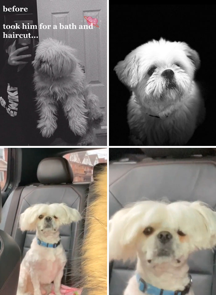 I'm Not Gonna Name The Place Where He Got His Haircut From... Not Happy With It