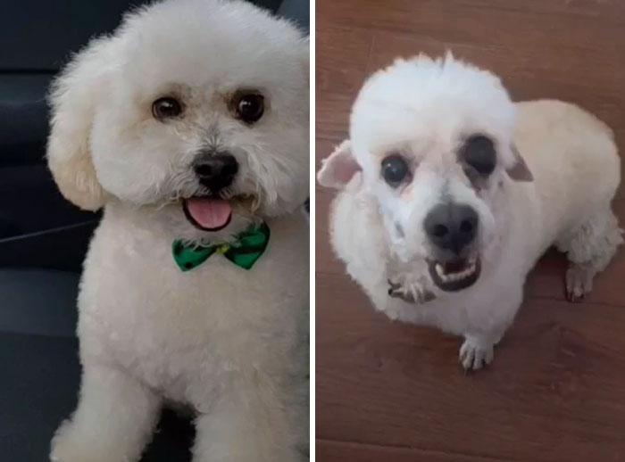 Not Everything Goes As Planned