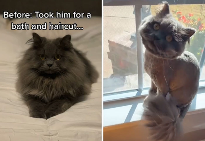 When Your Expectations Are Not What You Get