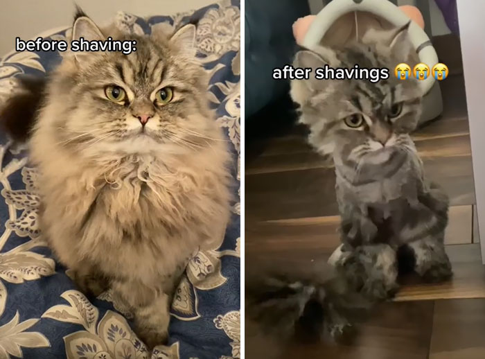 That Was Half A Jumpscare. I Wasn't Expecting That