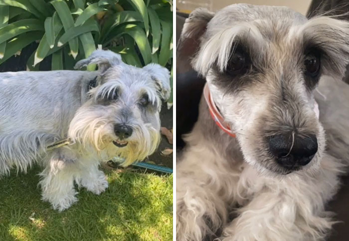 I Don't Know If To Laugh Or Cry