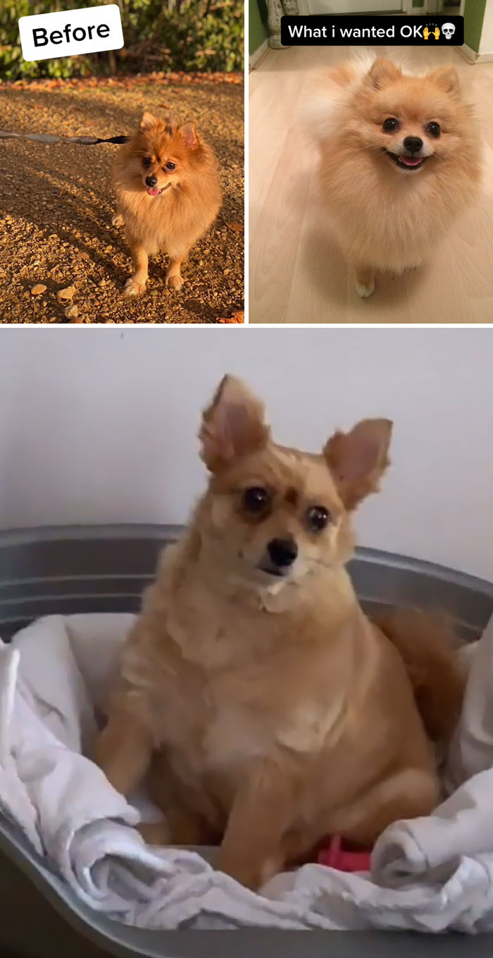 That's Why I'm Afraid To Go To The Hairdresser