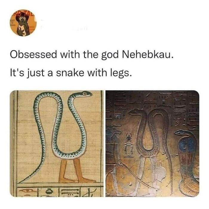 Funny-Animal-Memes-Jokes