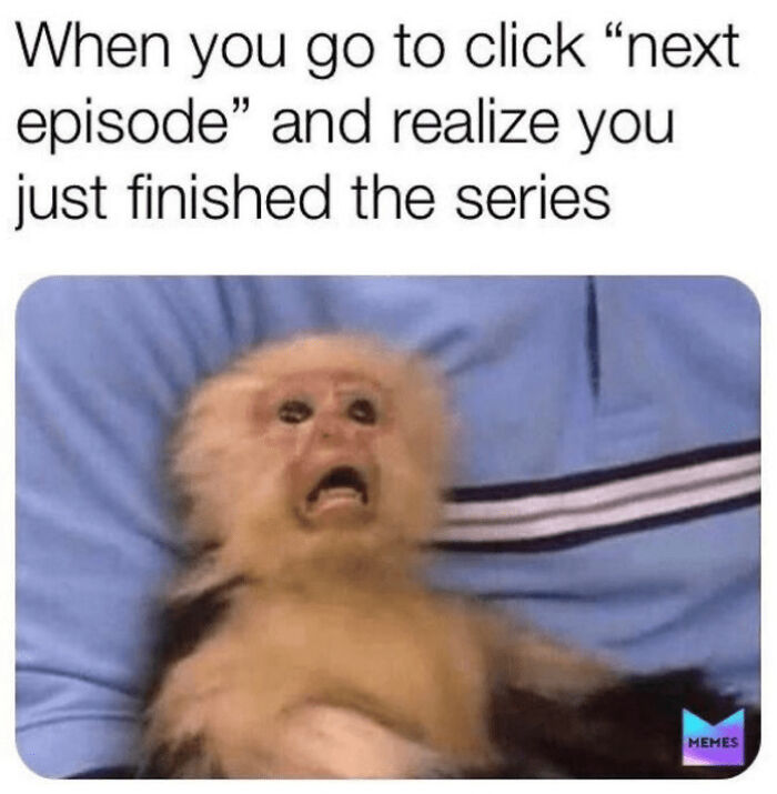 Funny meme with a shocked monkey reacting to finishing a series, combining animals and humor.