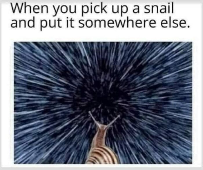 Funny-Animal-Memes-Jokes