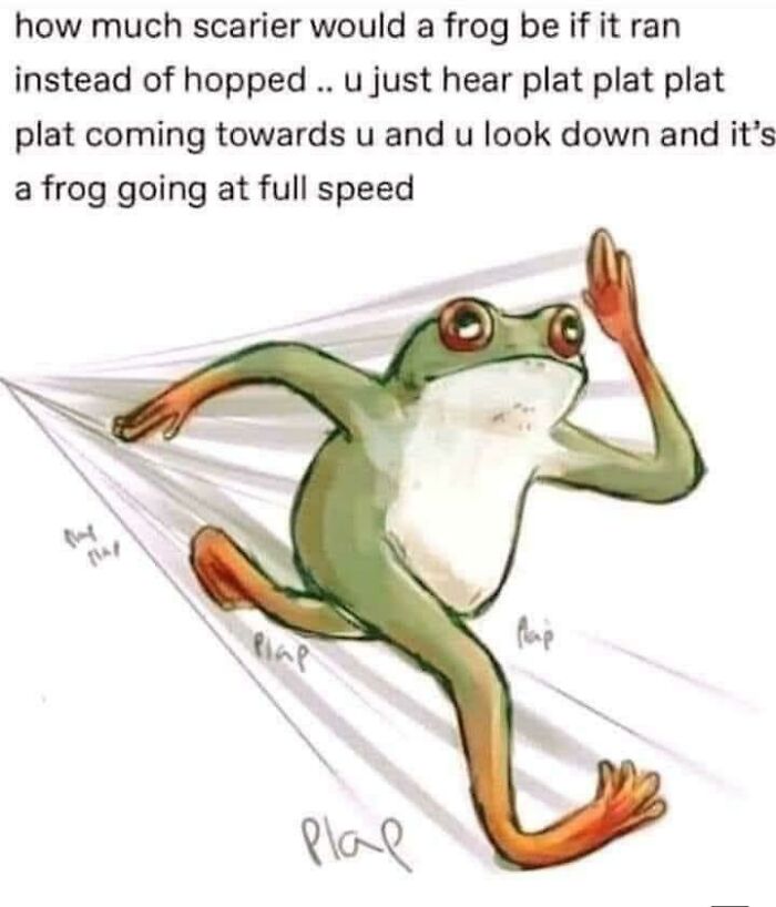 Funny-Animal-Memes-Jokes