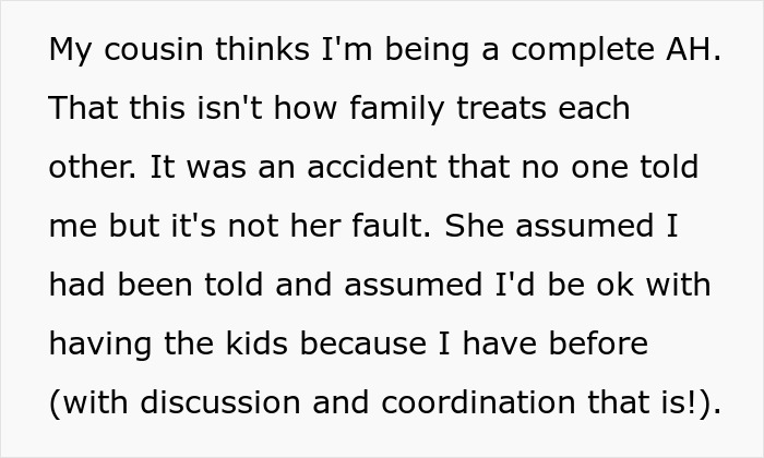 Family Plans A Cruise Without Telling One Cousin, Hoping She Will Watch All Of Their Kids, Are Furious When It's Time To Go And She's Not Home
