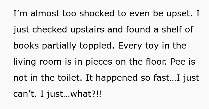 "This Was Bizarre And Horrible'': House Owner Shares How 15 Minutes With Their Housekeepers' Kids Made Her Cancel On Them