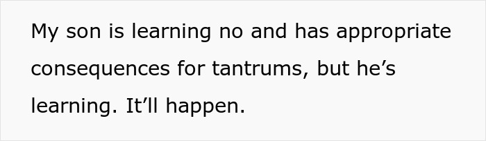 Brother&rsquo;s Infertile Girlfriend Keeps Making Judgy Comments Regarding This Woman's Parenting, She Can&rsquo;t Take It Anymore And Snaps Back