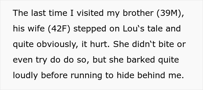 Woman Asks If It’d Be A Jerk Move To Miss Her Brother’s 40th Birthday Because They Banned Her “Aggressive” German Shepherd From Their House Woman Asks If It’d Be A Jerk Move To Miss Her Brother’s 40th Birthday Because They Banned Her “Aggressive” German Shepherd From Their House