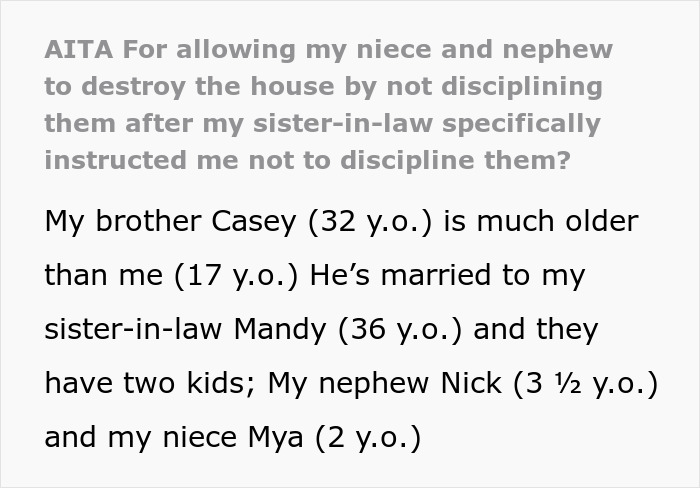Person Gets Told Off For Disciplining SIL&rsquo;s 2 Young Kids, Allows Them To Wreak Absolute Hell At Home Next Time They Babysit