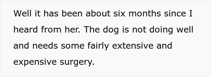 &ldquo;I Said No Thank You&rdquo;: Woman Demands Ex Pay For Her Dog's Vet Bills, Contacts His Close Ones To Make Him Change His Mind After Getting A Refusal