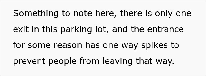 Person Decided To Block A Car For Exactly 17 Minutes And 20 Seconds To Get Revenge, They Drive Off And Regret It Dearly