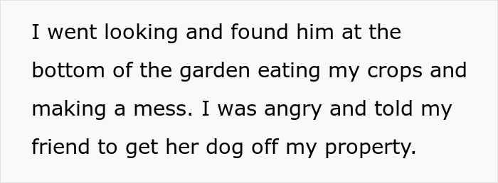 "I've Heard She Plans To Sue Me For Her Vet Bills": Guest Brings Her Dog To A Party Without Permission, Blames It On The Hostess When He Gets Seriously Sick