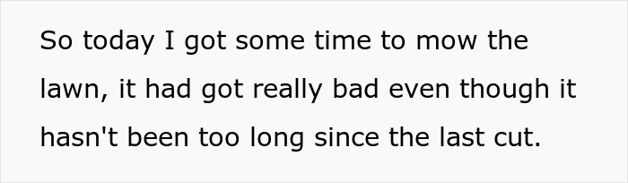 “Just Before 8 PM, One Of My Neighbors Started Screaming”: Woman Ordered To Stop Mowing Her Lawn Because It’s Sunday And People Want To Rest “Just Before 8 PM, One Of My Neighbors Started Screaming”: Woman Ordered To Stop Mowing Her Lawn Because It’s Sunday And People Want To Rest