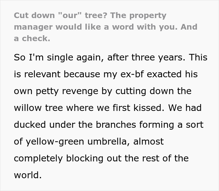 After A Break-Up, Ex-Boyfriend Cut Down “Their” Tree, So This Woman Forwarded His Text Bragging About It Right To The Property Manager After A Break-Up, Ex-Boyfriend Cut Down “Their” Tree, So This Woman Forwarded His Text Bragging About It Right To The Property Manager