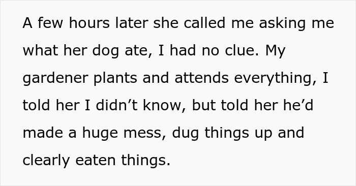 "I've Heard She Plans To Sue Me For Her Vet Bills": Guest Brings Her Dog To A Party Without Permission, Blames It On The Hostess When He Gets Seriously Sick