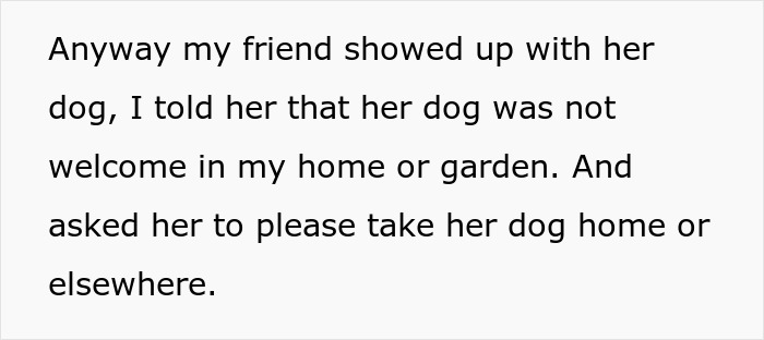 "I've Heard She Plans To Sue Me For Her Vet Bills": Guest Brings Her Dog To A Party Without Permission, Blames It On The Hostess When He Gets Seriously Sick