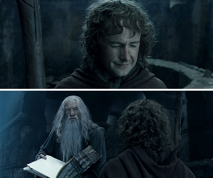 People Are Cracking Up At This Spot-On AITA Story Parody Recounting Famous Lord Of The Rings Moment