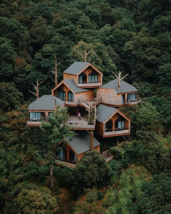 50 Works Of Wood That Are So Awesome, They Ended Up On The “Woodworking Ideas” Facebook Group