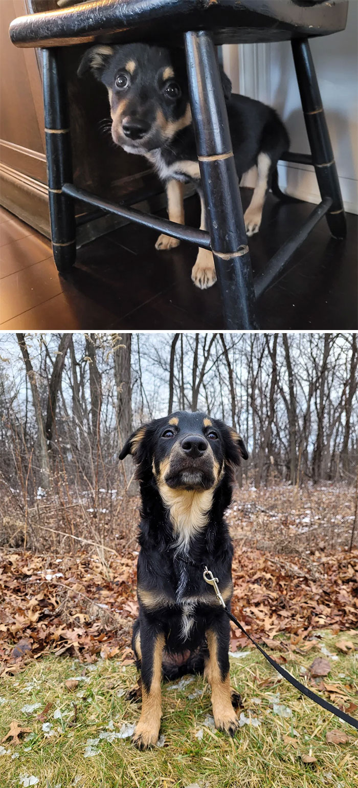 De tímida e insegura en su primer día a orgullosa y llena de confianza en su sexto mes de vida. ¡Buena chica, Rose!