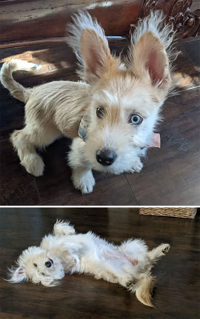 ¡Qué diferencia hacen 9 meses!