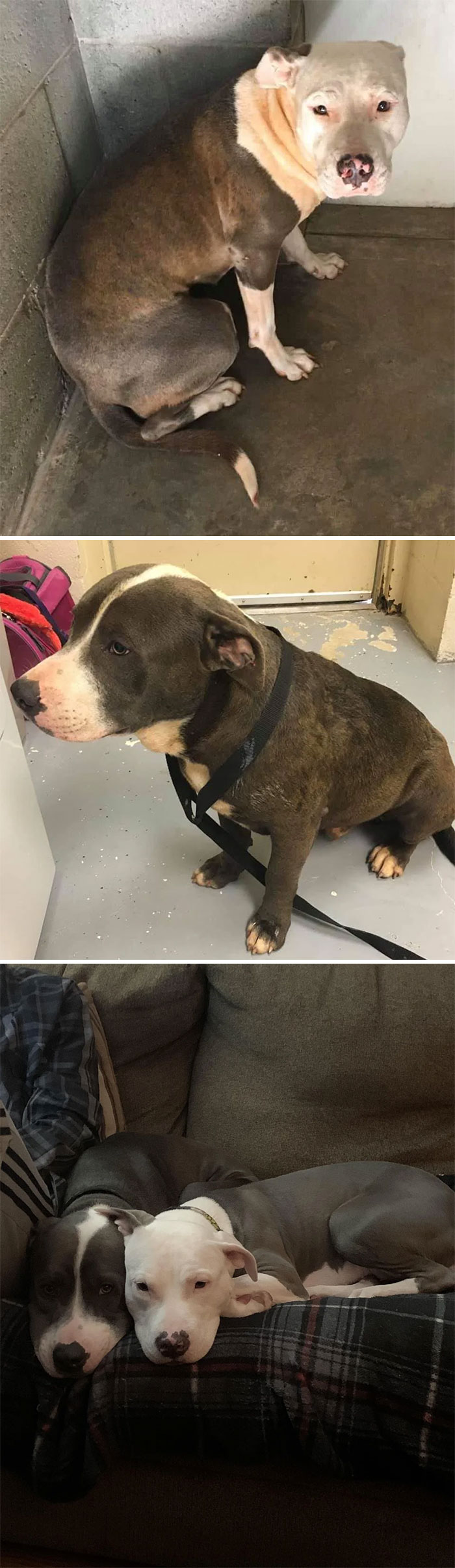 De no tener hogar a tener un final feliz