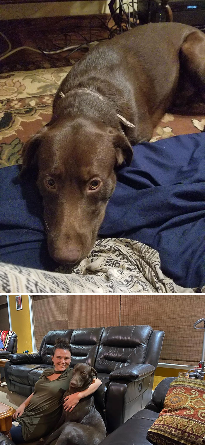 To Nervous And Insecure To A Total Mama's Boy! Happy Gotcha Day Moose!