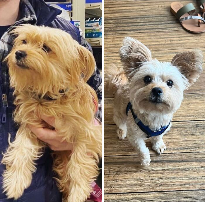 4 Months And She’s Really Come Out Of Her Shell!