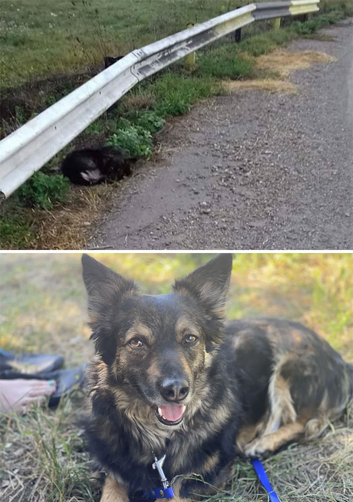 Cómo empezó… cómo va