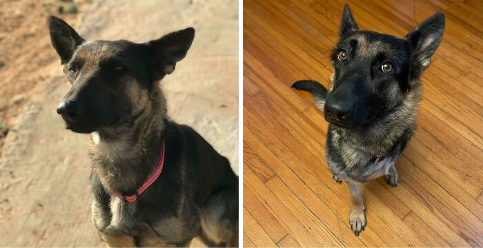 Starving, Three States Away, A Gun Shot Wound & Amputation Before & After A Little Over 6 Months