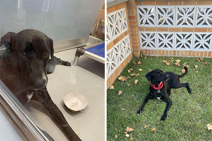 We Adopted Francesca September 9. ♥️♥️