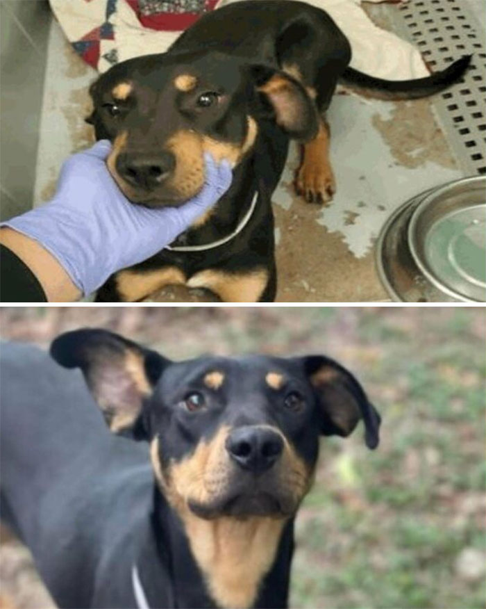 Celebrating 1 Year With My Foster Fail