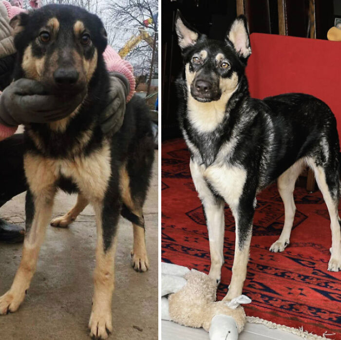 Started From The Bottom, Now We're Here! And Her Ears Have Grown Too