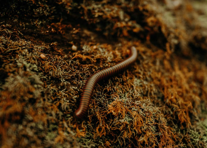 "Do You Clap When The Plane Lands?": People Share 30 Questions You Should Definitely Ask Before Dating Someone