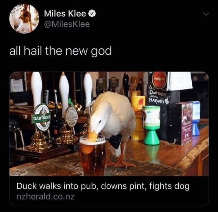 Birds-With-Threatening-Auras